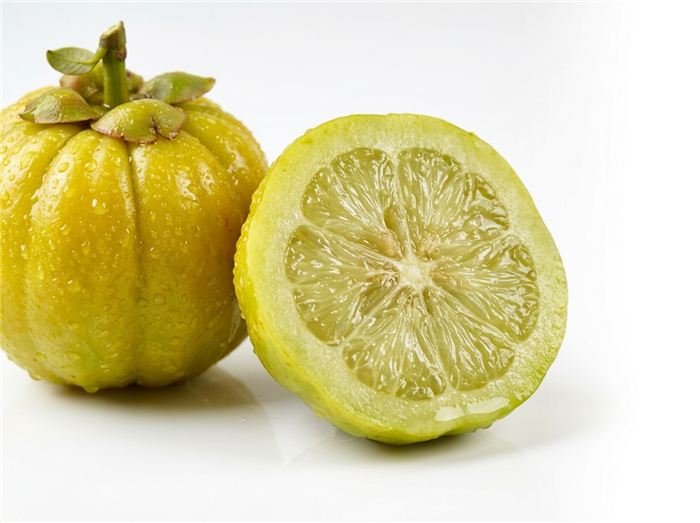 Garcinia cambogia brindle berry-frukt som används i Hinuki-geléstickorna